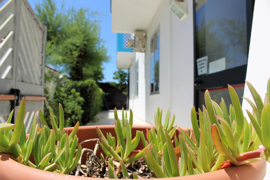 מרינה די מסה Hotel Eco Del Mare מראה חיצוני תמונה
